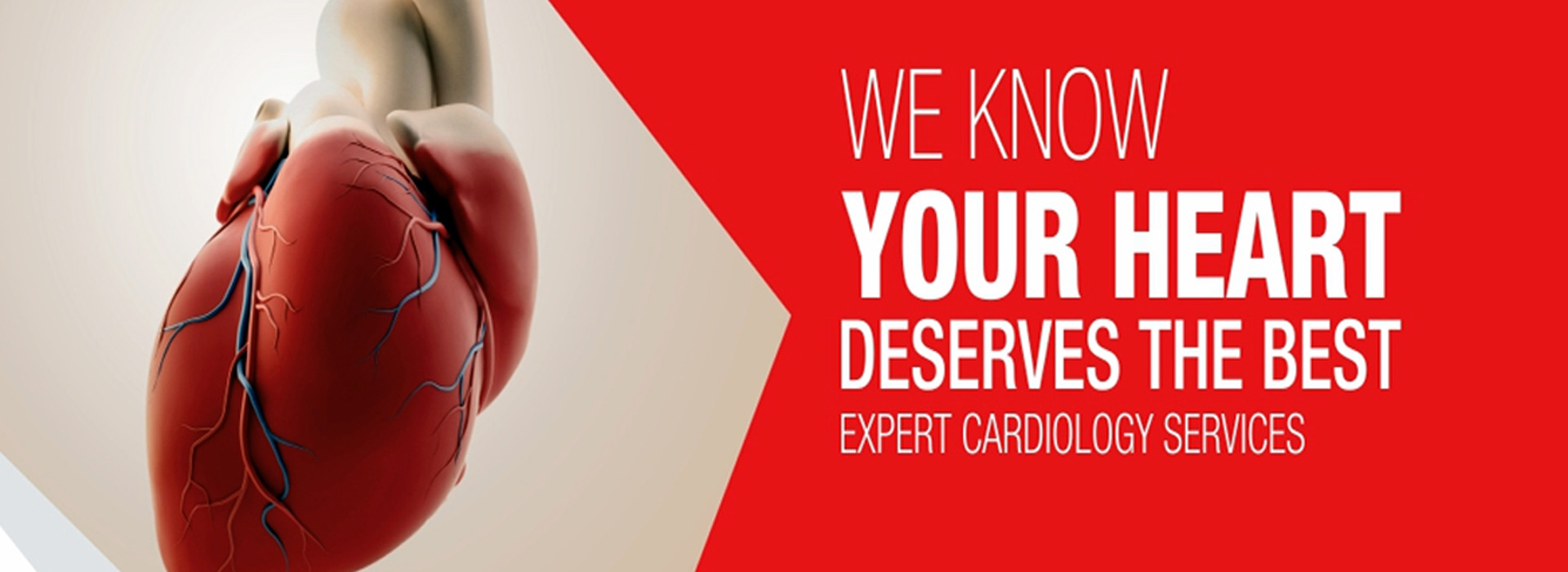 Best Cardiologist in Ghaziabad